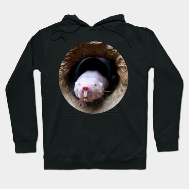 Naked Mole Rat Hoodie by Art of V. Cook